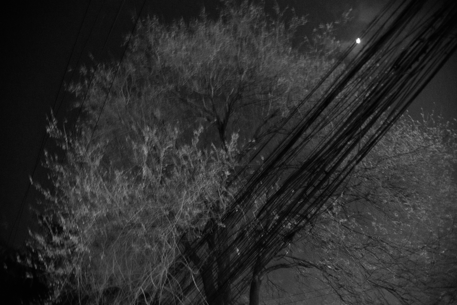 上海 2020 image 74